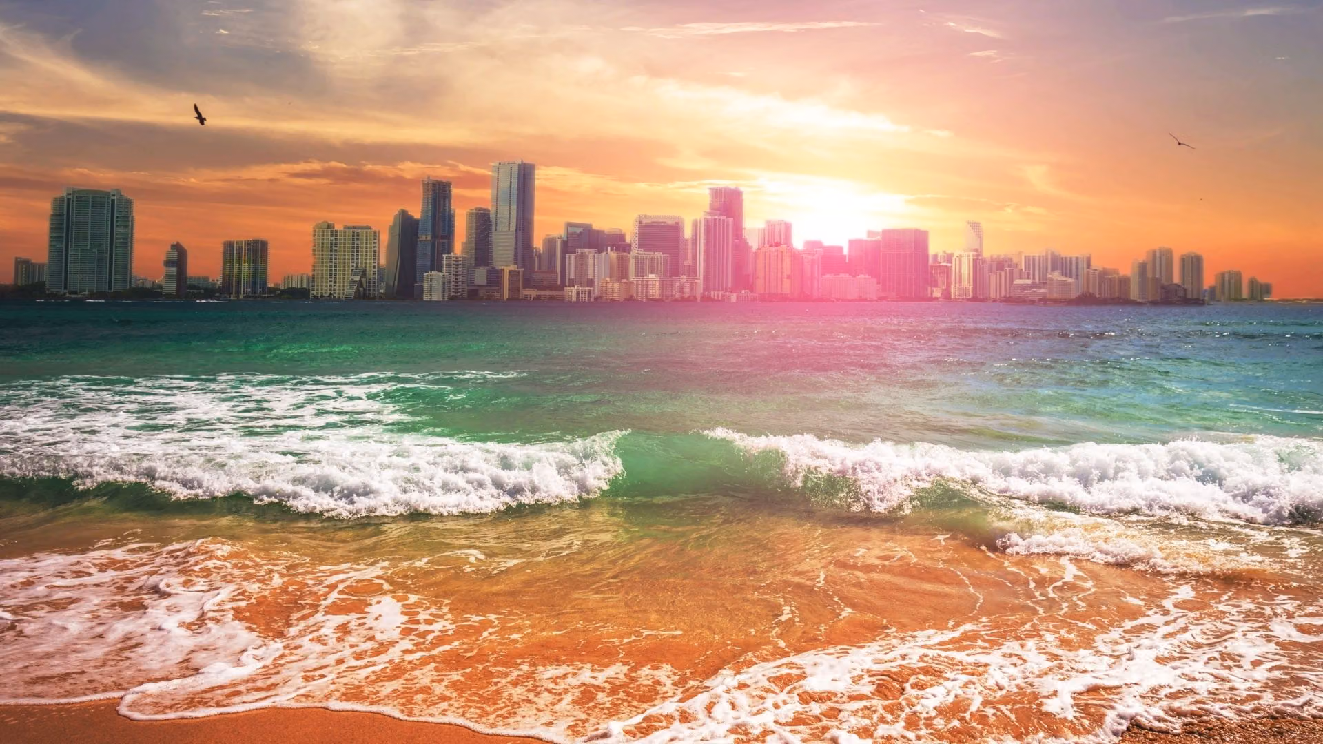 Miami skyline at sunset